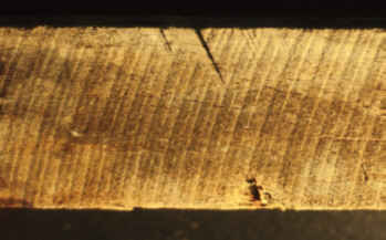 circulaire33.jpg (10487 octets)