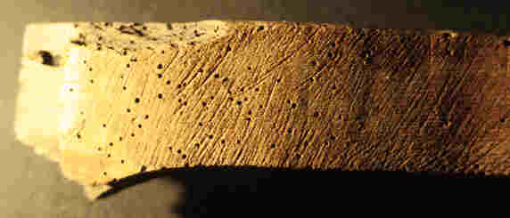 estomp30 bis.jpg (11300 octets)